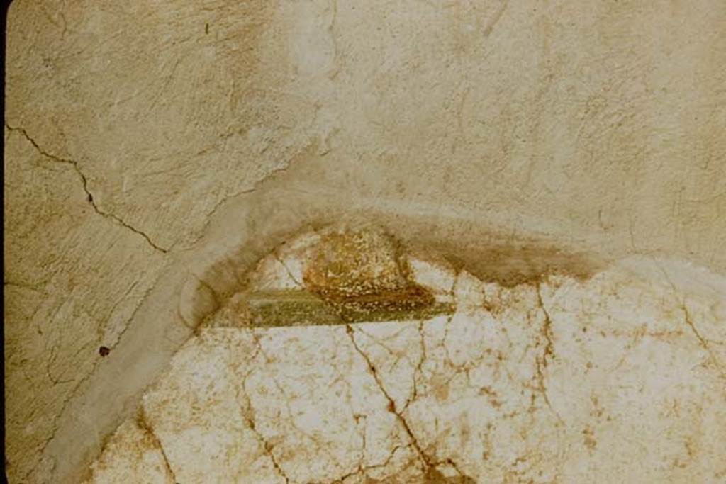 I.7.5 Pompeii. 1957. Remains of painting of bird with fruit from east end of south wall. Photo by Stanley A. Jashemski.
Source: The Wilhelmina and Stanley A. Jashemski archive in the University of Maryland Library, Special Collections (See collection page) and made available under the Creative Commons Attribution-Non Commercial License v.4. See Licence and use details. 
J57f0241