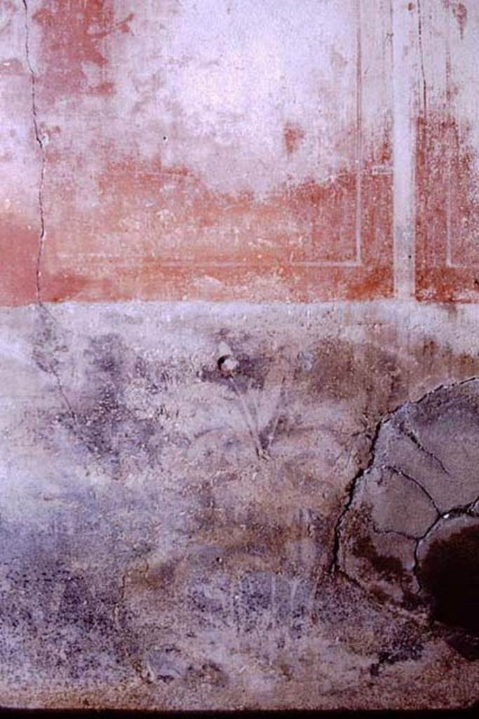I.7.7 Pompeii, 1968.  Detail of painted plants from north portico. Photo by Stanley A. Jashemski.
Source: The Wilhelmina and Stanley A. Jashemski archive in the University of Maryland Library, Special Collections (See collection page) and made available under the Creative Commons Attribution-Non Commercial License v.4. See Licence and use details.
J68f0430