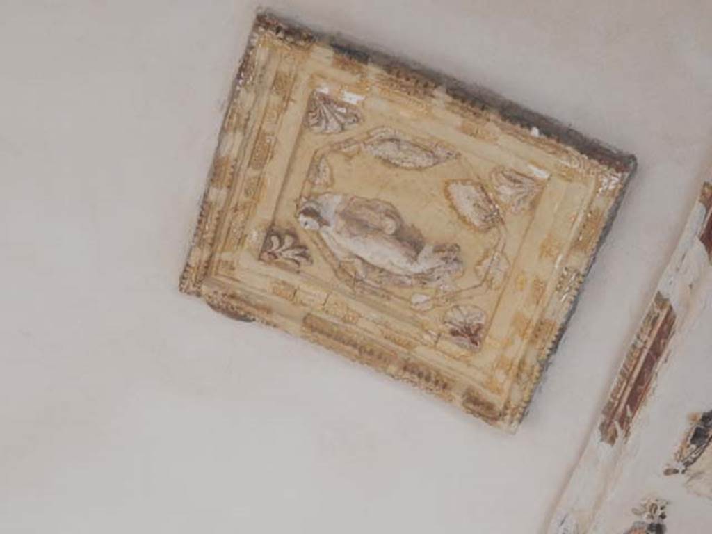 I.7.11 Pompeii. May 2017. Detail from east side of triclinium ceiling.
Photo courtesy of Buzz Ferebee.