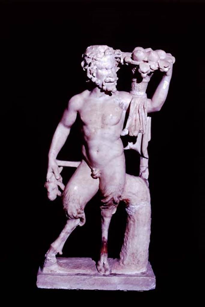 I.7.11 Pompeii, 1978. Statuette of a goat-footed pan. Photo by Stanley A. Jashemski.   
Source: The Wilhelmina and Stanley A. Jashemski archive in the University of Maryland Library, Special Collections (See collection page) and made available under the Creative Commons Attribution-Non Commercial License v.4. See Licence and use details. J78f0582
According to Wilhelmina, “It is quite possible that the four badly broken, little marble statuettes found in the triclinium were part of the decoration from the garden area, and like the statue of the Ephebe had been brought into the house for protection, or perhaps to be mended after the earthquake.” The statuette of Pan was restored from nineteen fragments, and was made of white marble but it showed definite evidence of having been completely gilded.
See Jashemski, W. F., 1993. The Gardens of Pompeii, Volume II: Appendices. New York: Caratzas. (p.40)