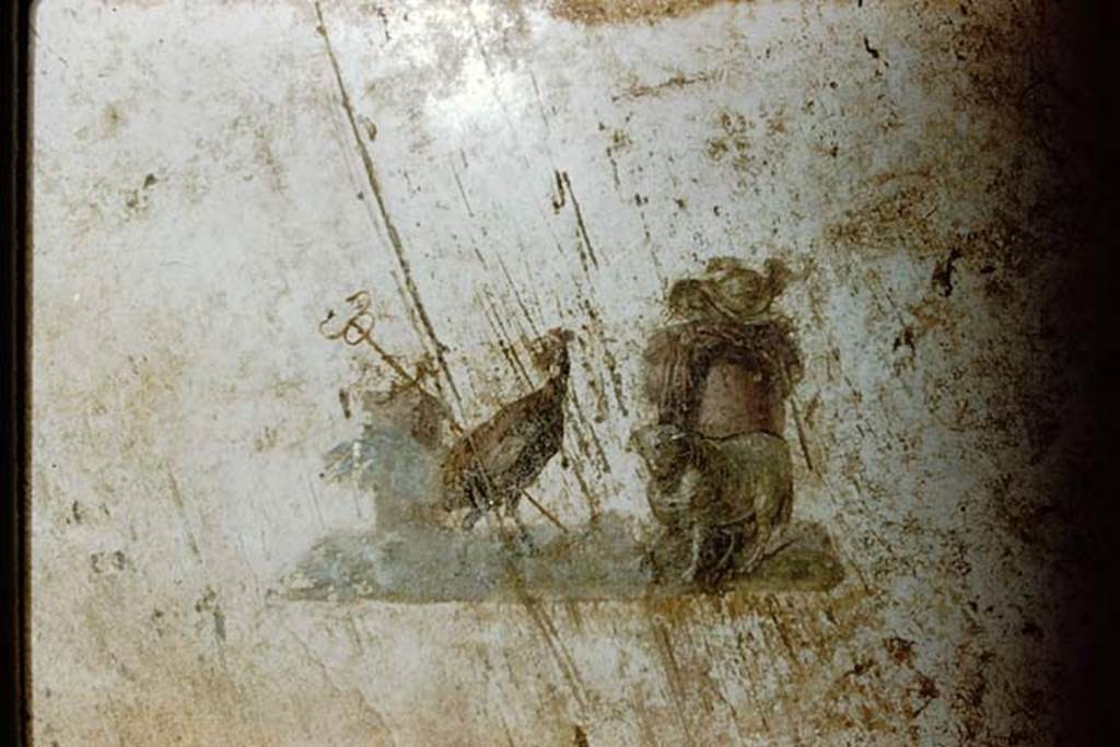 I.7.11 Pompeii. 1959. North wall of exedra, attributes of Mercury from central panel. Photo by Stanley A. Jashemski.
Source: The Wilhelmina and Stanley A. Jashemski archive in the University of Maryland Library, Special Collections (See collection page) and made available under the Creative Commons Attribution-Non-Commercial License v.4. See Licence and use details.
J59f0320