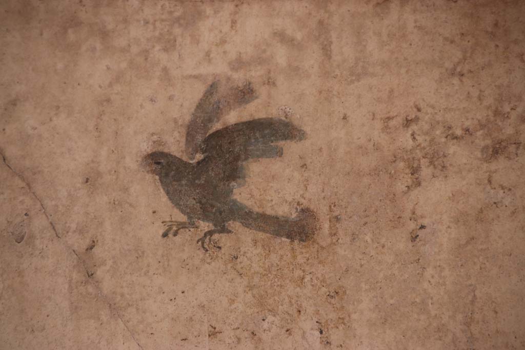 I.7.11 Pompeii. September 2021. 
East wall of exedra, detail of painted bird from under panther in panel on south side. Photo courtesy of Klaus Heese.