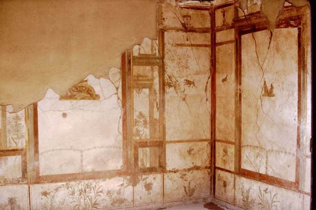 I.7.11 Pompeii. 1968. Exedra on east side of north portico, looking towards south-east corner.  Photo by Stanley A. Jashemski.
Source: The Wilhelmina and Stanley A. Jashemski archive in the University of Maryland Library, Special Collections (See collection page) and made available under the Creative Commons Attribution-Non Commercial License v.4. See Licence and use details.
J68f0419