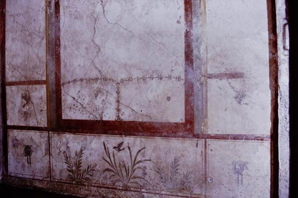 I.7.11 Pompeii. 1968. South wall of exedra.  Photo by Stanley A. Jashemski.
Source: The Wilhelmina and Stanley A. Jashemski archive in the University of Maryland Library, Special Collections (See collection page) and made available under the Creative Commons Attribution-Non Commercial License v.4. See Licence and use details.
J68f0413