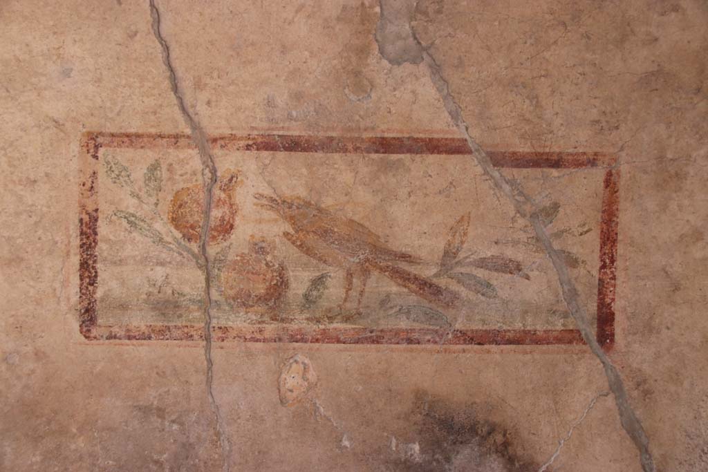 I.7.11 Pompeii. September 2021. 
Wall painting of bird on north wall in cubiculum to south-east of atrium. Photo courtesy of Klaus Heese.