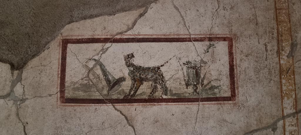 I.7.11 Pompeii. December 2023.
East wall of cubiculum to south-east of atrium, wall painting of the attributes of Dionysus, panther, cup and horn of plenty. 
Photo courtesy of Miriam Colomer.