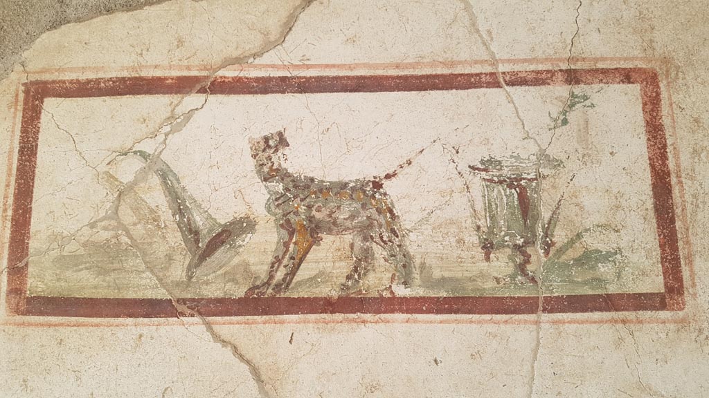 I.7.11 Pompee. August 2023. 
East wall of cubiculum to south-east of atrium, wall painting of the attributes of Dionysus, panther, cup and horn of plenty. 
Photo courtesy of Maribel Velasco.