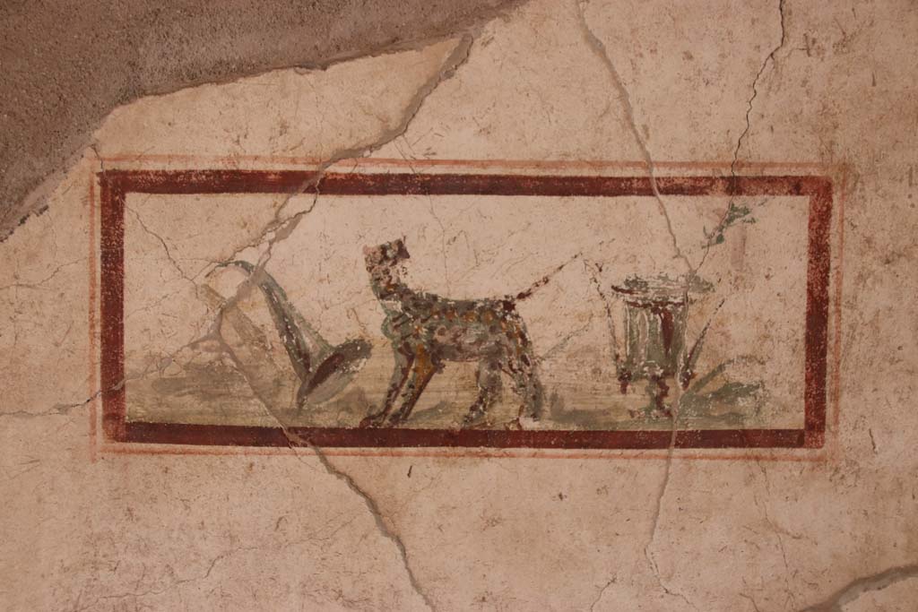 I.7.11 Pompeii. September 2021. 
East wall of cubiculum to south-east of atrium, wall painting of the attributes of Dionysus, panther, cup and horn of plenty. 
Photo courtesy of Klaus Heese.