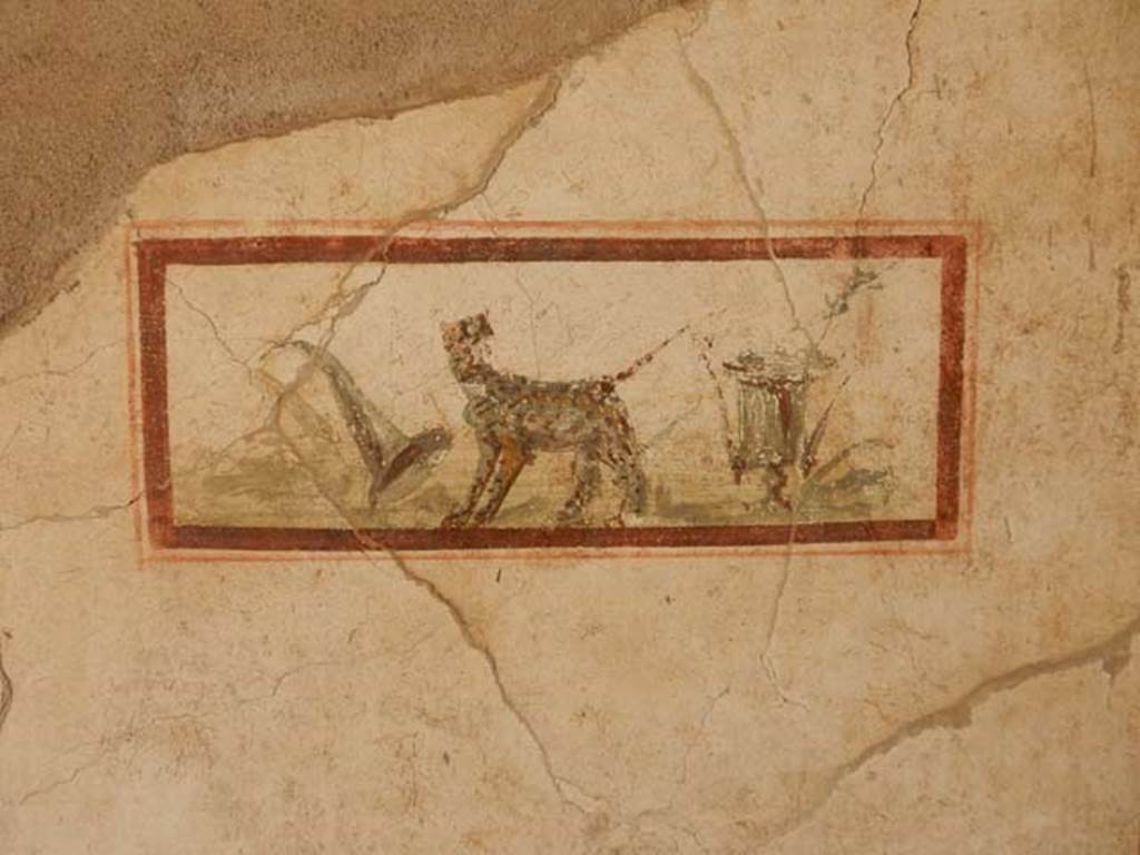 I.7.11 Pompeii. May 2017. 
East wall of cubiculum to south-east of atrium, wall painting of panther, cup and cornucopia, the attributes of Dionysus. Photo courtesy of Buzz Ferebee.