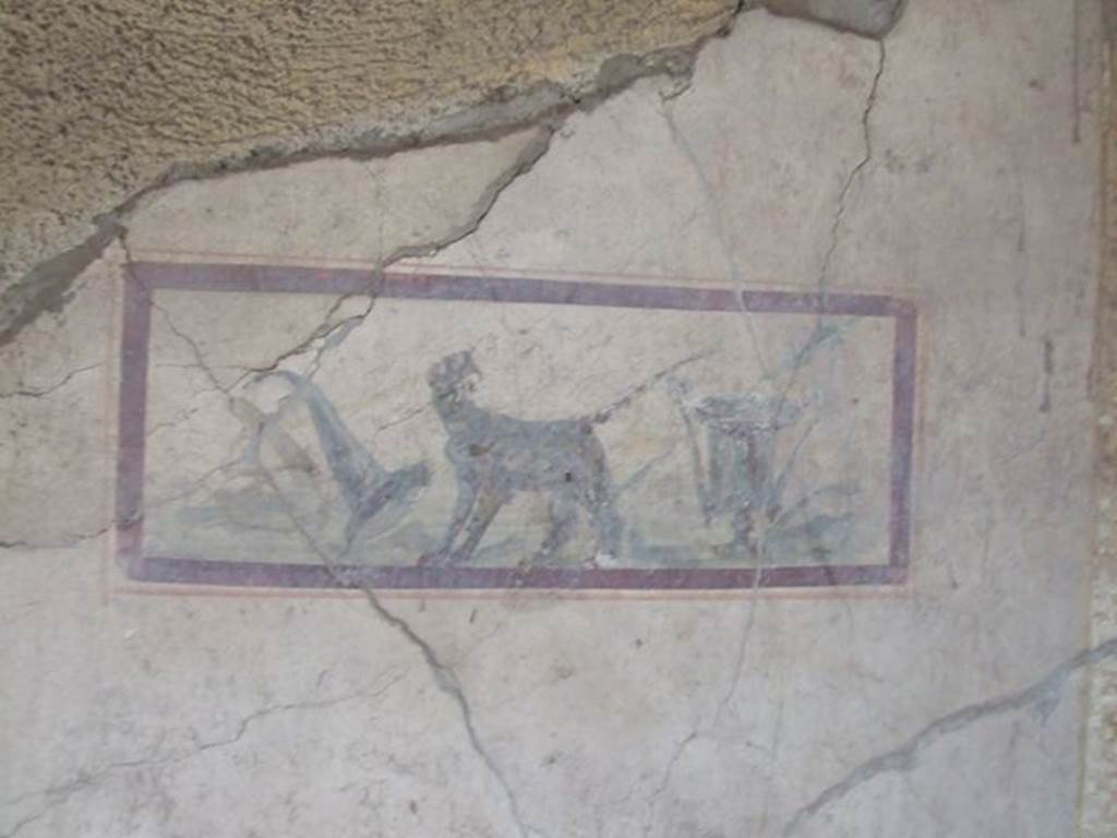 I.7.11 Pompeii. December 2006. East wall of cubiculum to south-east of atrium.
Wall painting of panther, cup and cornucopia, the attributes of Dionysus.