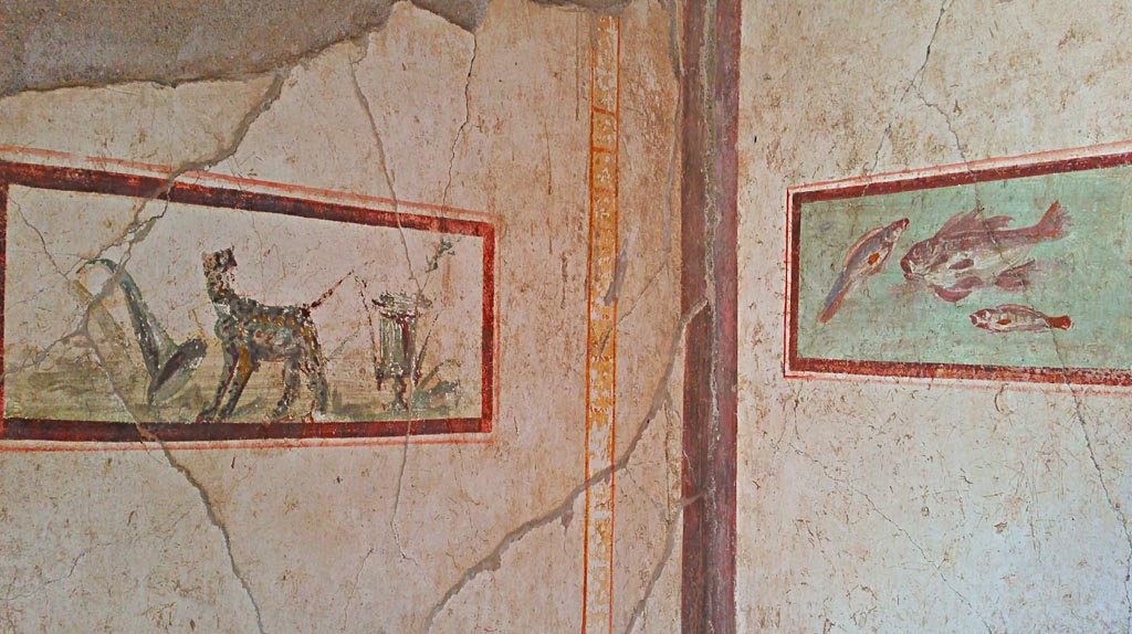 I.7.11 Pompeii. 2017/2018/2019. 
Cubiculum to south-east of atrium, detail of paintings in south-east corner. Photo courtesy of Giuseppe Ciaramella.