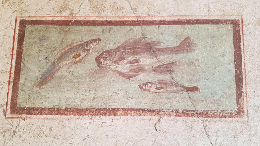 I.7.11 Pompeii. August 2023. Wall painting of fish from east end of south wall of cubiculum. Photo courtesy of Maribel Velasco.