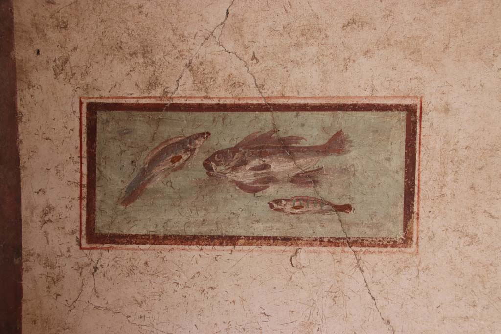 I.7.11 Pompeii. September 2021. 
South wall of cubiculum to south-east of atrium, wall painting of fish from east end of south wall. Photo courtesy of Klaus Heese.