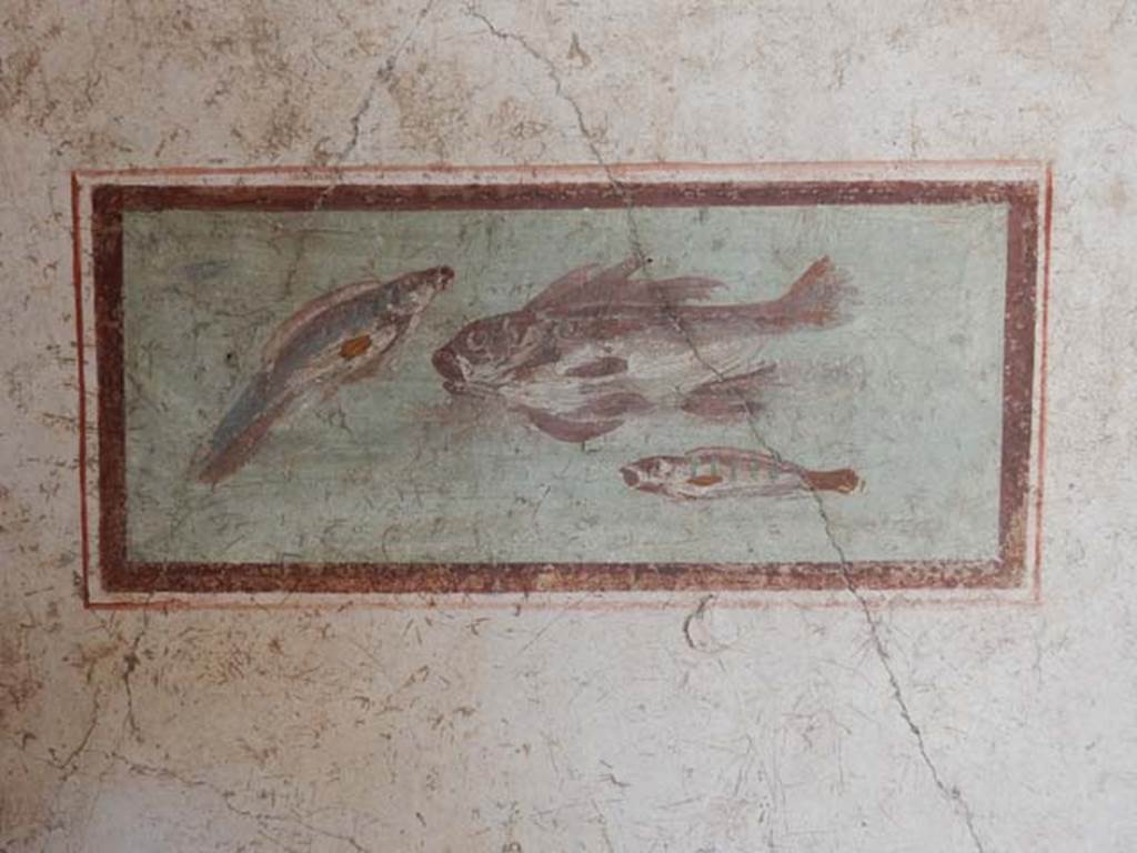 I.7.11 Pompeii. May 2017. Cubiculum to south-east of atrium. Wall painting of fish from east end of south wall. 
Photo courtesy of Buzz Ferebee.