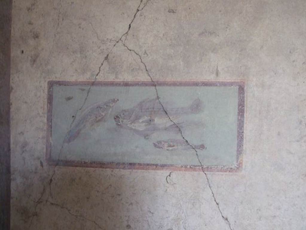 I.7.11 Pompeii. December 2006. Cubiculum to south-east of atrium. Wall painting of fish from east end of south wall.