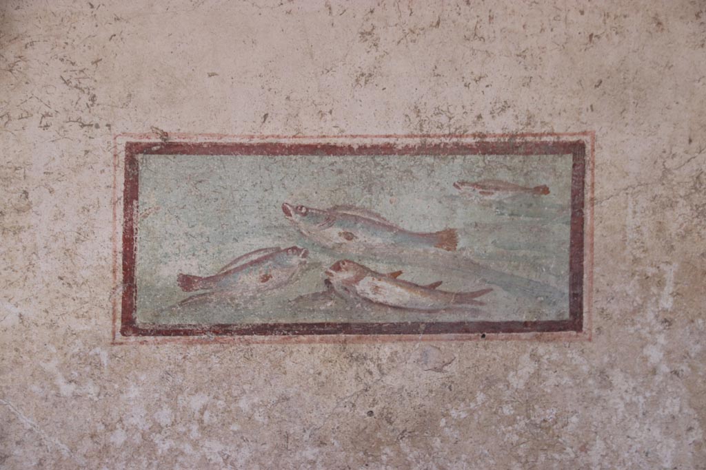 I.7.11 Pompeii. October 2023. 
South wall of cubiculum to south-east of atrium, wall painting of fish from west end of south wall. Photo courtesy of Klaus Heese.