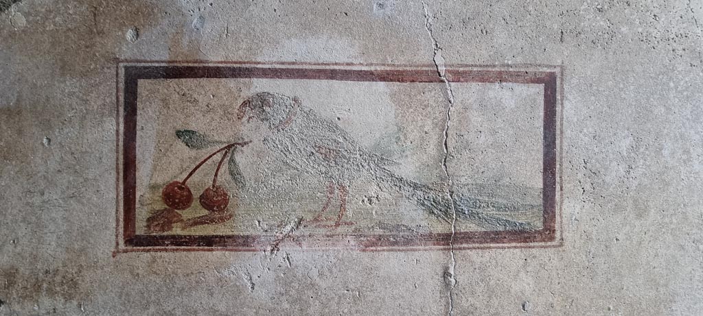 I.7.11 Pompeii. December 2023. 
Wall painting of bird with cherry from north end of west wall of cubiculum. Photo courtesy of Miriam Colomer.