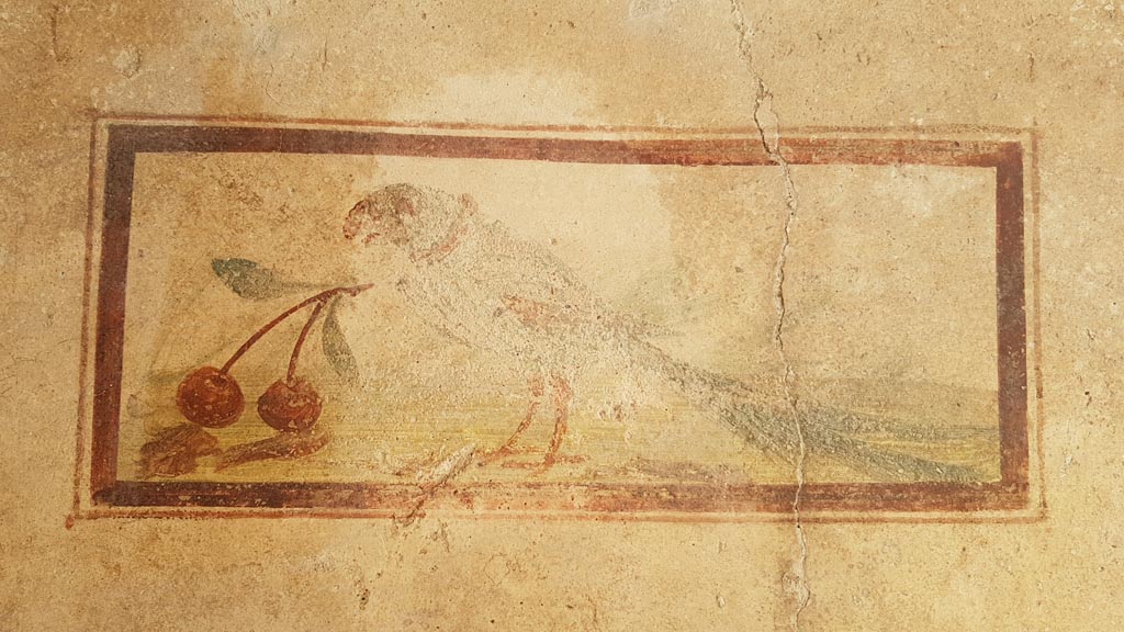 I.7.11 Pompeii. August 2023. 
Wall painting of bird with cherry from north end of west wall of cubiculum. Photo courtesy of Maribel Velasco.