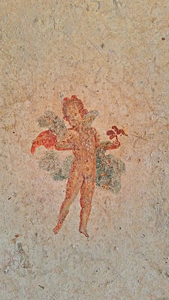 I.7.11 Pompeii. 2017/2018/2019.
Painting of flying cupid from west end of north wall of bedroom. Photo courtesy of Giuseppe Ciaramella.