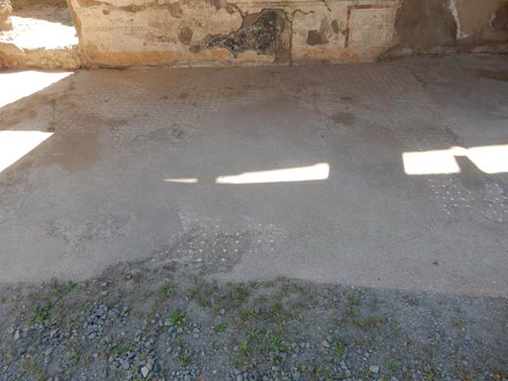 I.7.11 Pompeii. May 2017. Looking west across flooring in tablinum. 
Photo courtesy of Buzz Ferebee.