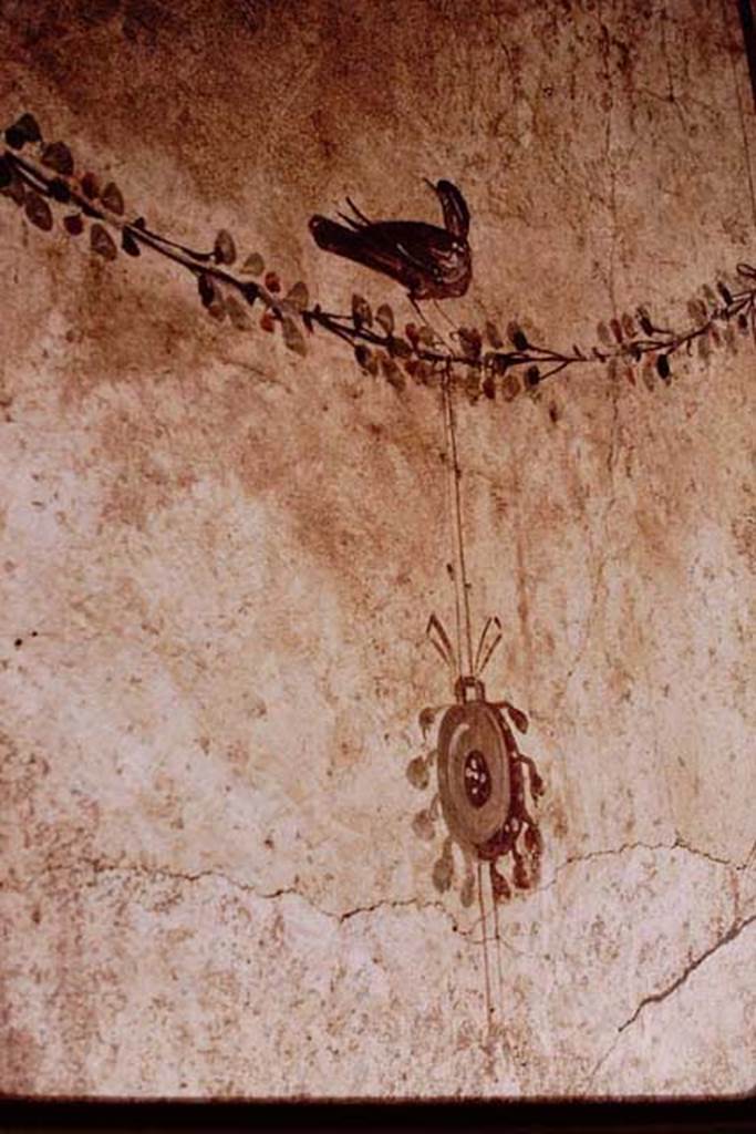I.7.11 Pompeii. 1968. South wall of bath room, painted panel on east end of bird on a garland on which a tambourine was hanging. 
Photo by Stanley A. Jashemski.
Source: The Wilhelmina and Stanley A. Jashemski archive in the University of Maryland Library, Special Collections (See collection page) and made available under the Creative Commons Attribution-Non Commercial License v.4. See Licence and use details.
J68f0423
