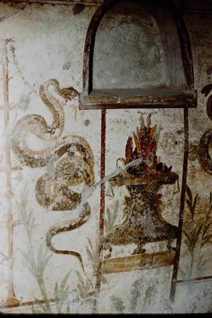 I.7.11 Pompeii. 1959. Lararium on west wall. Photo by Stanley A. Jashemski.
Source: The Wilhelmina and Stanley A. Jashemski archive in the University of Maryland Library, Special Collections (See collection page) and made available under the Creative Commons Attribution-Non Commercial License v.4. See Licence and use details.
J59f0321