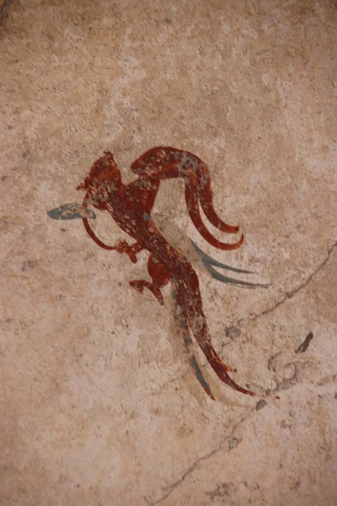 I.7.11 Pompeii. September 2021. 
Upper west wall, painted decoration in centre above niche. Photo courtesy of Klaus Heese.