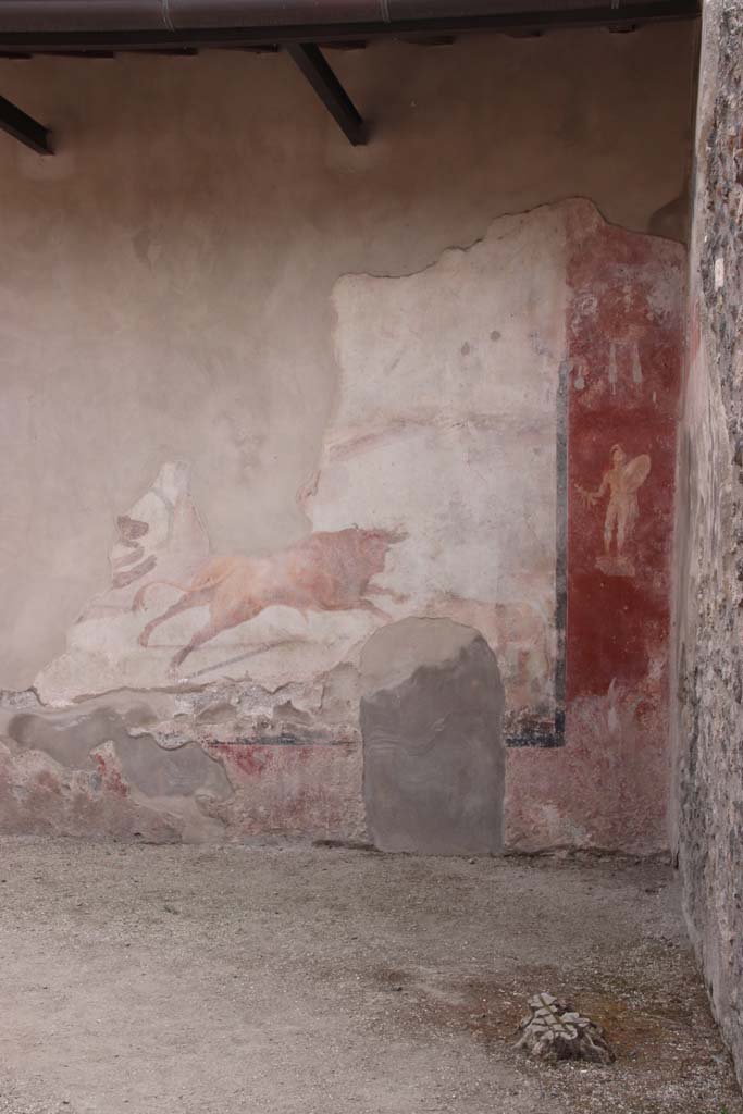 I.7.12 Pompeii. September 2021. 
South wall and south-west corner with painting of bull in hunting scene, and naked armed warrior.
Photo courtesy of Klaus Heese.