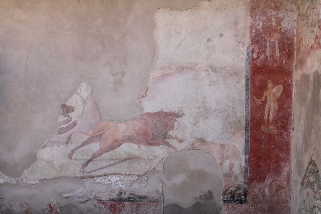 I.7.12 Pompeii. December 2018. 
South wall and south-west corner with painting of bull in hunting scene, and naked armed warrior. Photo courtesy of Aude Durand.