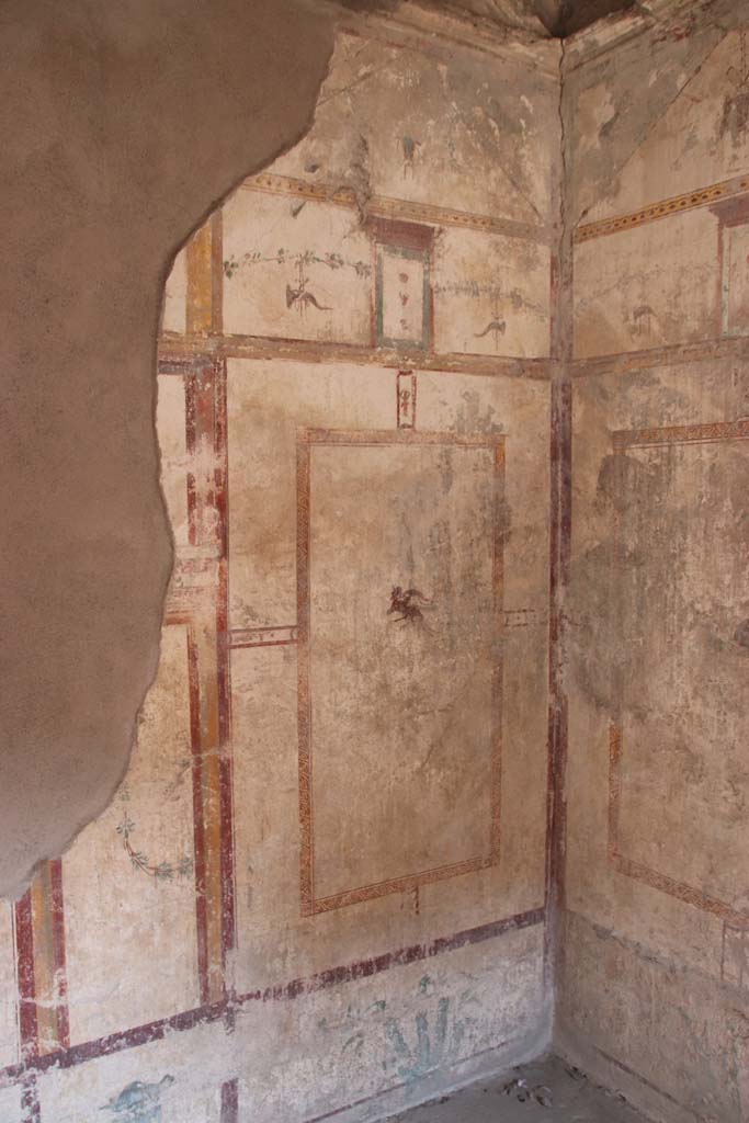 I.7.12 Pompeii. September 2021. 
East wall of cubiculum in south-east corner. Photo courtesy of Klaus Heese.