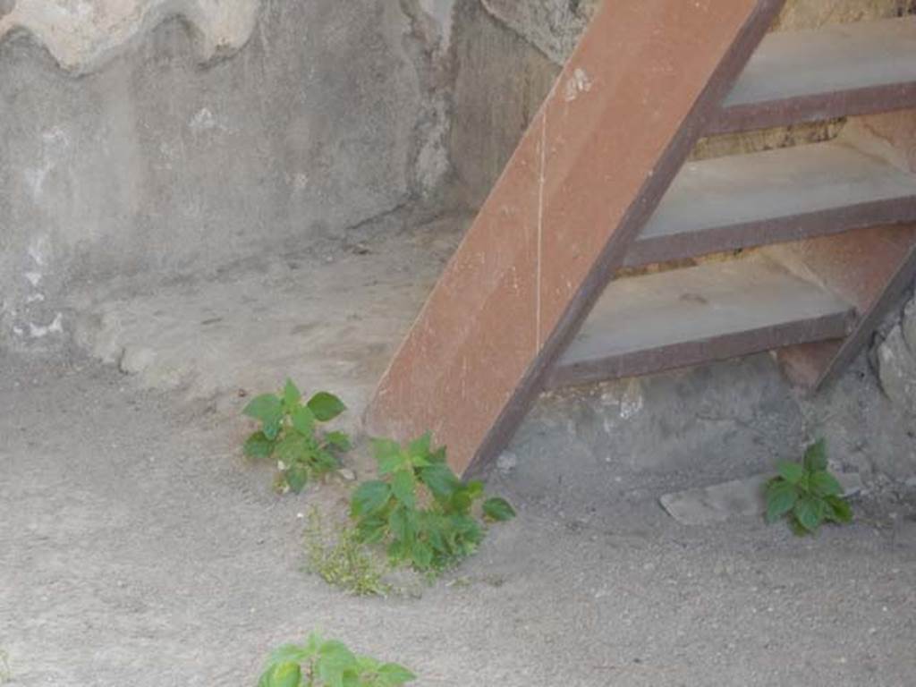 I.7.18 Pompeii. May 2017. Flooring in south-east corner of entrance room, and modern stairs. Photo courtesy of Buzz Ferebee.