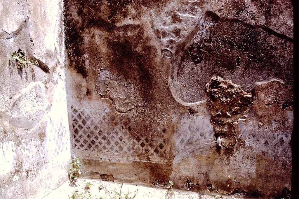 I.7.19 Pompeii. 1972. East wall and north-east corner of small garden area. Photo by Stanley A. Jashemski. 
Source: The Wilhelmina and Stanley A. Jashemski archive in the University of Maryland Library, Special Collections (See collection page) and made available under the Creative Commons Attribution-Non-Commercial License v.4. See Licence and use details.
J72f0097