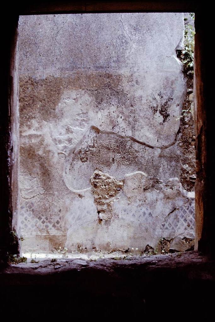 I.7.19 Pompeii. 1972. 
Looking towards east wall at rear of tablinum window. Photo by Stanley A. Jashemski.     
Source: The Wilhelmina and Stanley A. Jashemski archive in the University of Maryland Library, Special Collections (See collection page) and made available under the Creative Commons Attribution-Non-Commercial License v.4. See Licence and use details.
J72f0098