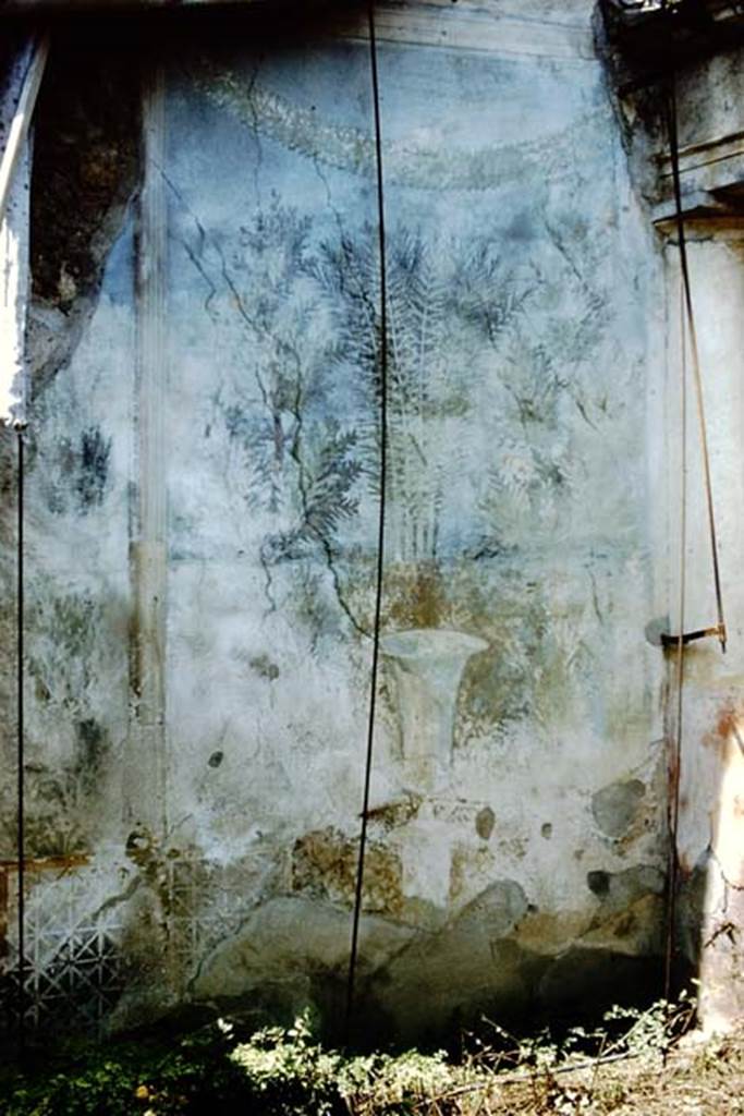 I.7.19 Pompeii. 1961. Garden painting from north end of west wall. Photo by Stanley A. Jashemski.
Source: The Wilhelmina and Stanley A. Jashemski archive in the University of Maryland Library, Special Collections (See collection page) and made available under the Creative Commons Attribution-Non Commercial License v.4. See Licence and use details. 
J61f0802