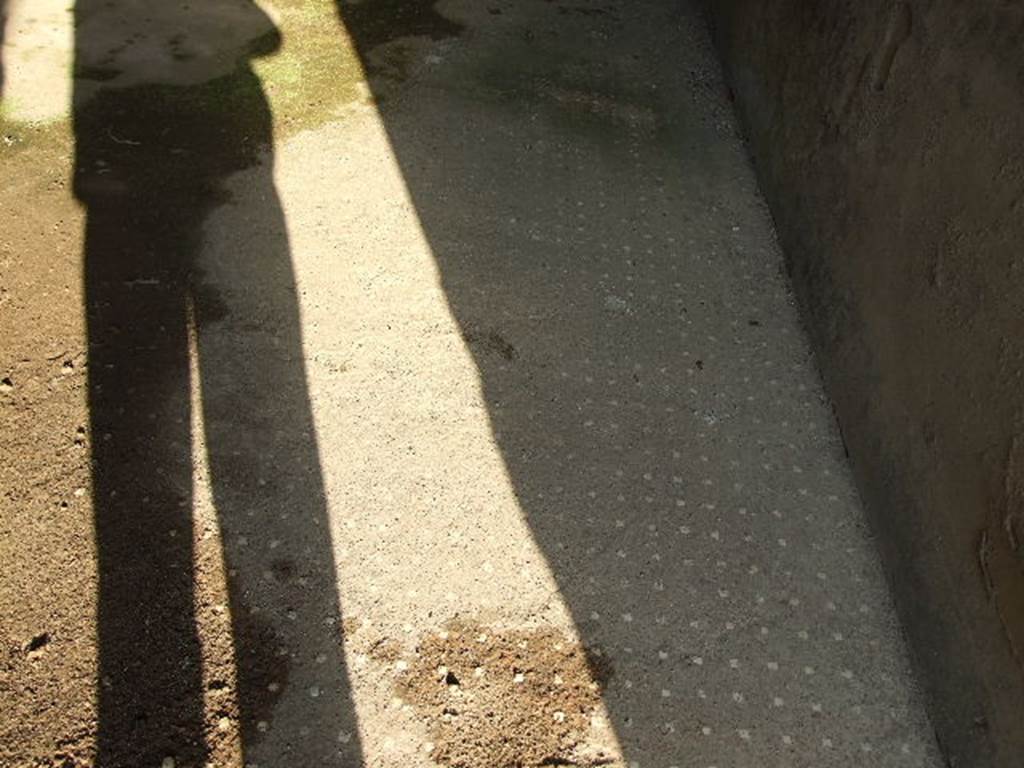 I.7.19 Pompeii. December 2006. Decorative floor in triclinium in north-east corner of atrium.  
The floor was cocciopesto with regularly spaced white “dots” of tesserae.