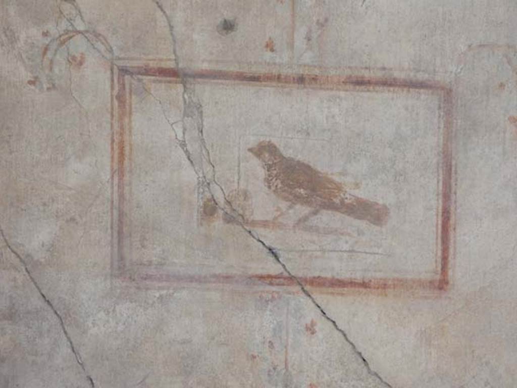 I.8.9 Pompeii. May 2015. Room 4, detail of bird from painted panel on east wall.
Photo courtesy of Buzz Ferebee.