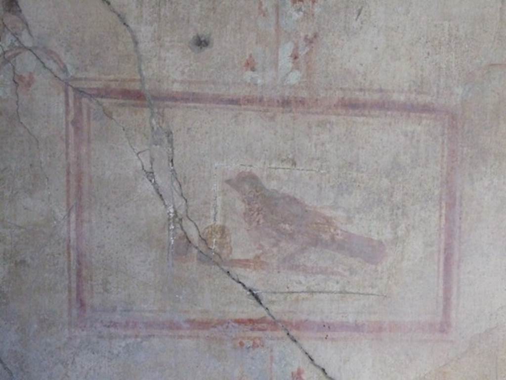 I.8.9 Pompeii. March 2009. Room 4, east wall detail of a painted panel of a bird.