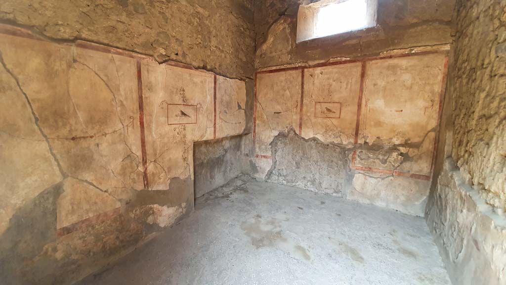 I.8.9 Pompeii. July 2021. Room 4, looking towards north wall, north-east corner and east wall.
Foto Annette Haug, ERC Grant 681269 DÉCOR.