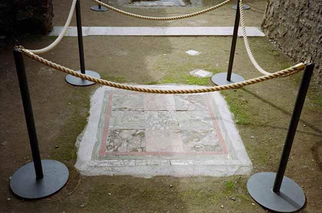 I.8.9 Pompeii. March 2010. Room 2, oecus. Looking south.
Emblema in centre of floor, with remains of white marble diamond shaped pieces. 
Photo courtesy of Rick Bauer.