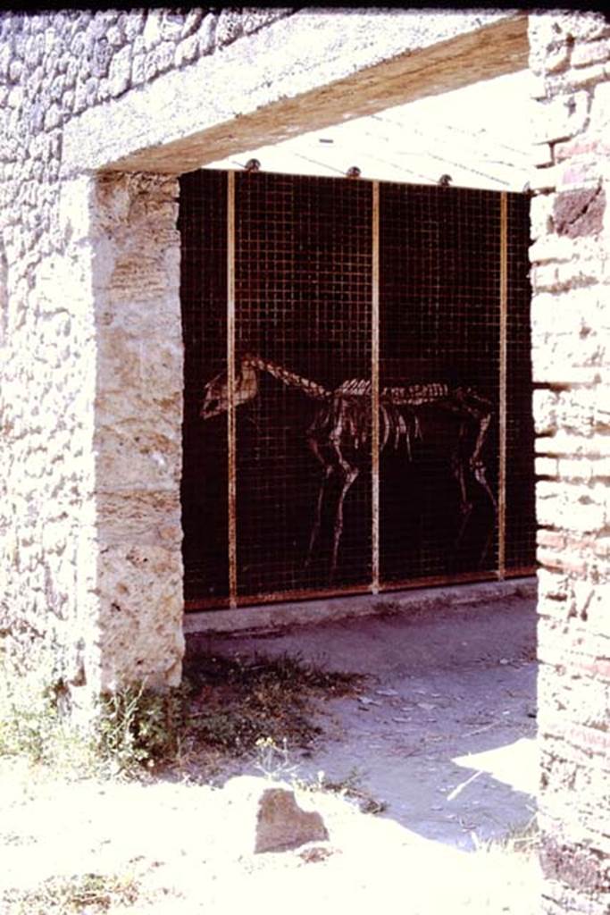 I.8.12 Pompeii. Pompeii. 1972. Entrance doorway, with “break” in pavement permitting entry of carts. Photo by Stanley A. Jashemski. 
Source: The Wilhelmina and Stanley A. Jashemski archive in the University of Maryland Library, Special Collections (See collection page) and made available under the Creative Commons Attribution-Non Commercial License v.4. See Licence and use details. J72f0133