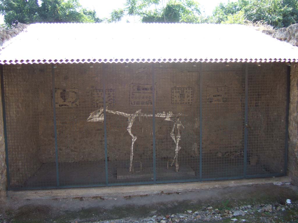 I.8.12 Pompeii. September 2005. 
Skeleton of horse, or donkey, with remains of skeleton laying in south-west corner of stable, on right.