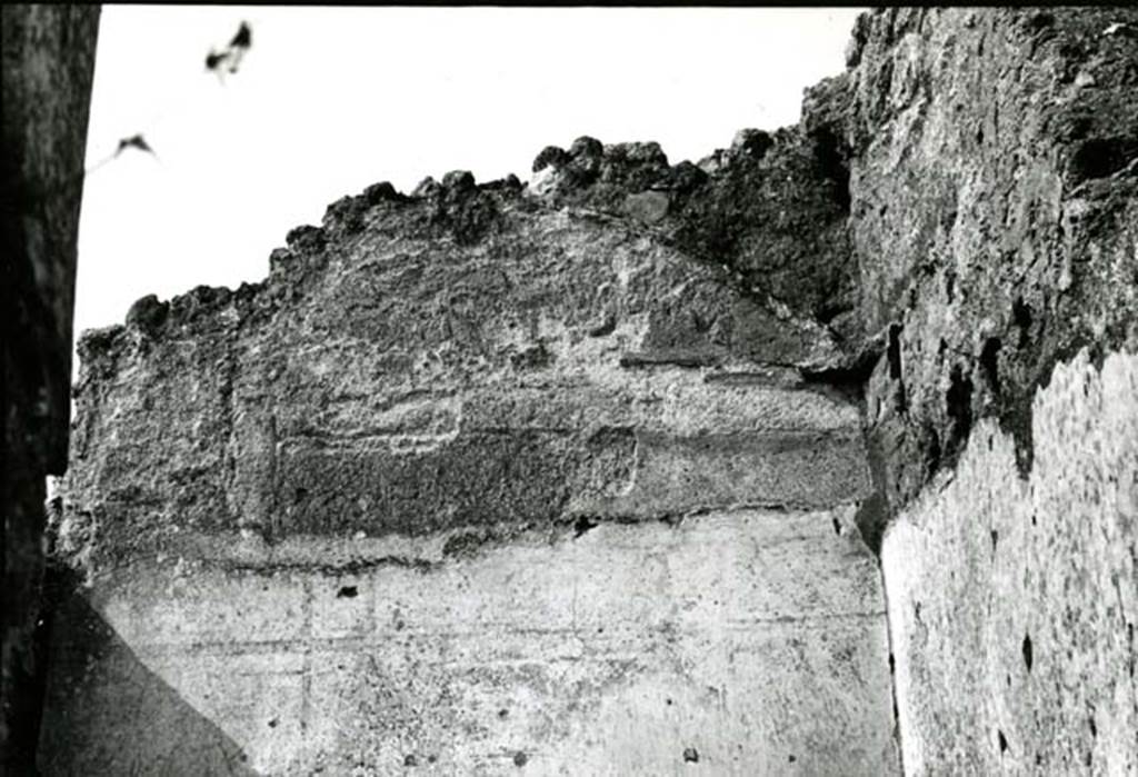 I.8.13 Pompeii. 1975. Shop House, 1st room on W side, lunette on W wall.  Photo courtesy of Anne Laidlaw.
American Academy in Rome, Photographic Archive. Laidlaw collection _P_75_5_12.