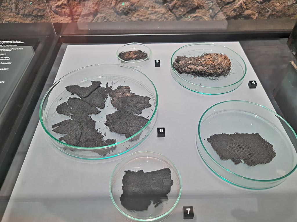 I.8.14 Pompeii. March 2024. Photo courtesy of Giuseppe Ciaramella.
No. 3 – Fragment of braided plant, (Esparto/halfah grass, 1st century AD. 
(Frammento di intreccio vegetale, (Sparto, I sec. D.C).
No. 4 – Carbonised fragment of a sole made from rope for animal hooves (horseshoe), 1st century AD. 
(Frammento carbonizzato di suola in corda per zoccoli animali (ipposandalo), I sec. d.C.).
On display in exhibition in Palaestra entitled – “L’altra Pompei, vite comuni all’ombra del Vesuvio”.