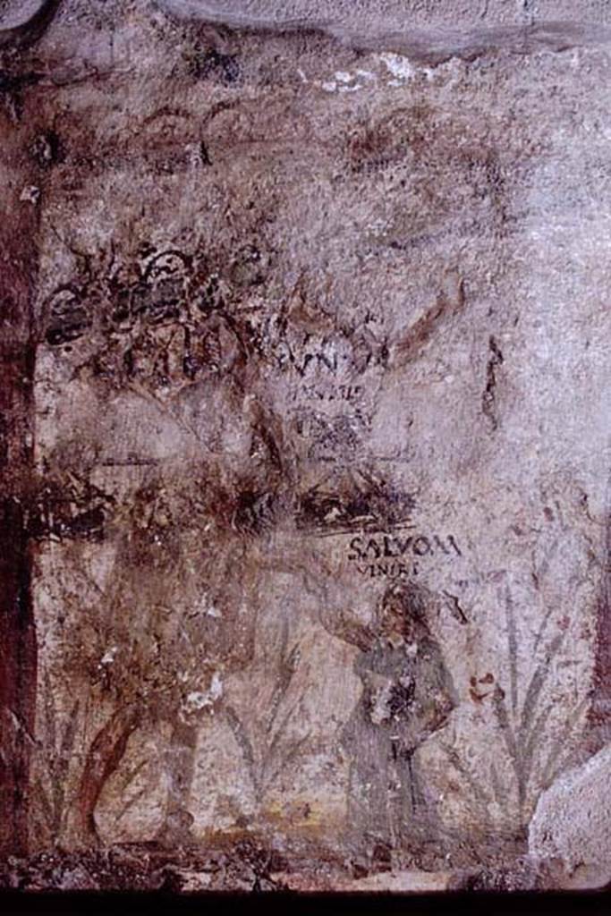 I.8.15 Pompeii. 1968. 
Right hand part of the painted panel showing a small figure dressed in long green tunic, raising her arm in welcome. 
Photo by Stanley A. Jashemski.
Source: The Wilhelmina and Stanley A. Jashemski archive in the University of Maryland Library, Special Collections (See collection page) and made available under the Creative Commons Attribution-Non Commercial License v.4. See Licence and use details.
J68f0409
