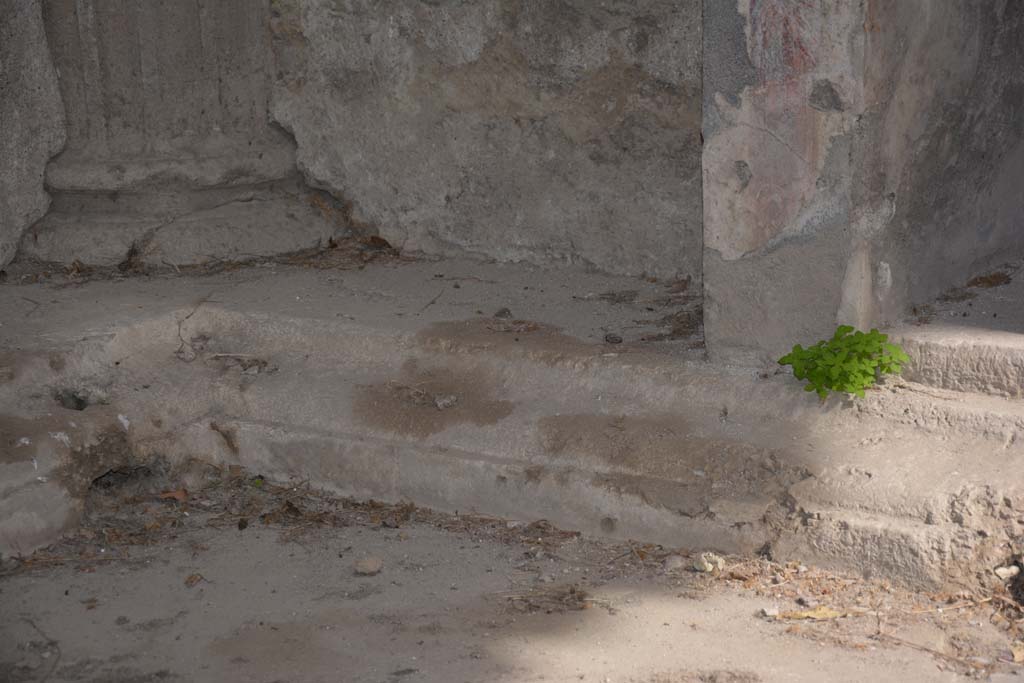 I.8.17 Pompeii. March 2019.  Looking towards north-east corner of impluvium in atrium 3.
Foto Annette Haug, ERC Grant 681269 DÉCOR