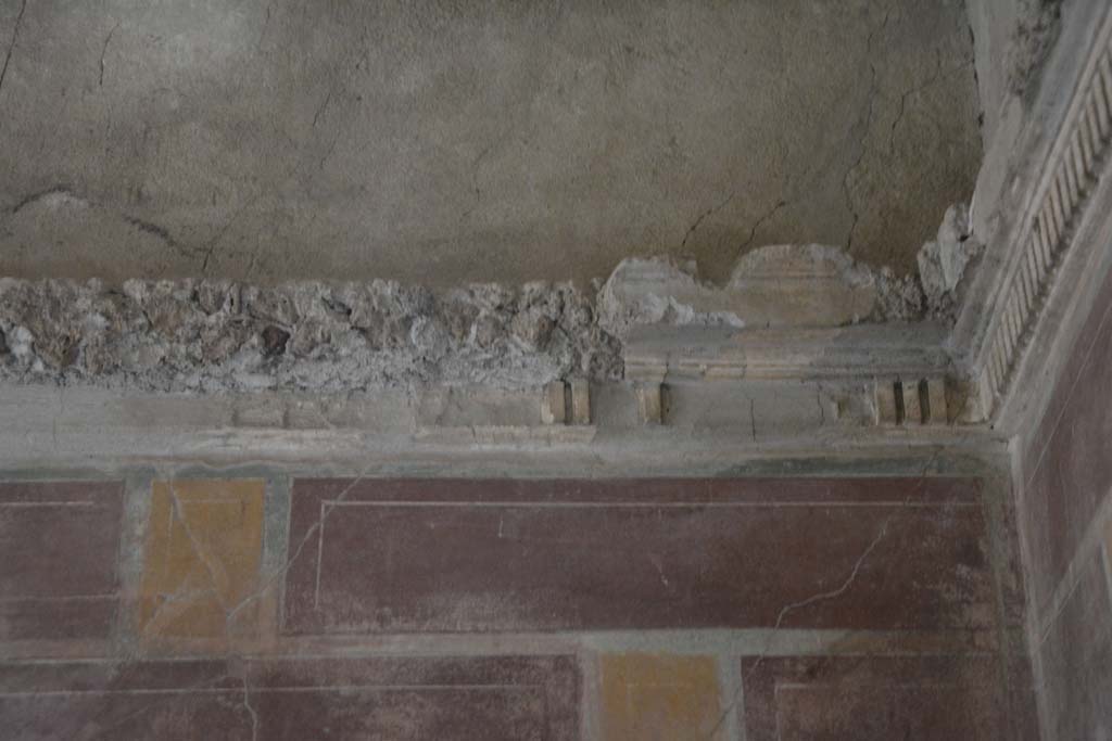 I.8.17 Pompeii. March 2019. Room 12, upper west wall in north-west corner, detail of stucco cornice.
Foto Annette Haug, ERC Grant 681269 DÉCOR.