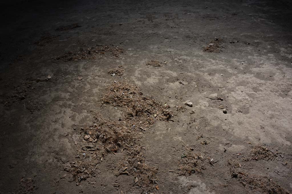 I.8.17 Pompeii. March 2019. Room 13, flooring in north ala.
Foto Annette Haug, ERC Grant 681269 DÉCOR.