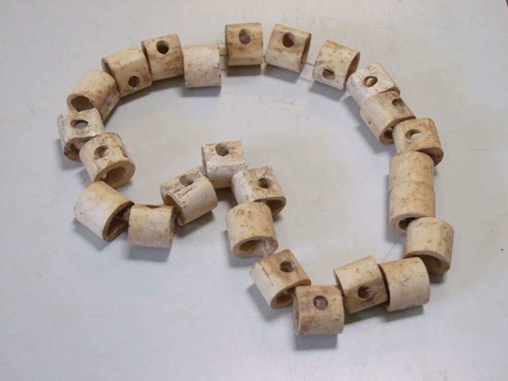 I.9.1 Pompeii. December 2007. Set of 25 hinges made of bone found in 1951 in the House of the Beautiful Impluvium.  SAP inventory number 8075.