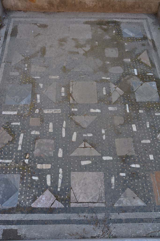 I.9.1 Pompeii. October 2019. Room 2, detail of “floor” of impluvium.
Foto Annette Haug, ERC Grant 681269 DÉCOR.
The impluvium’s background was of black mosaic with dots of white tesserae, tiles and flakes of polychrome marble, the walls and inner edge were of white marble with a rounded edge-strip.