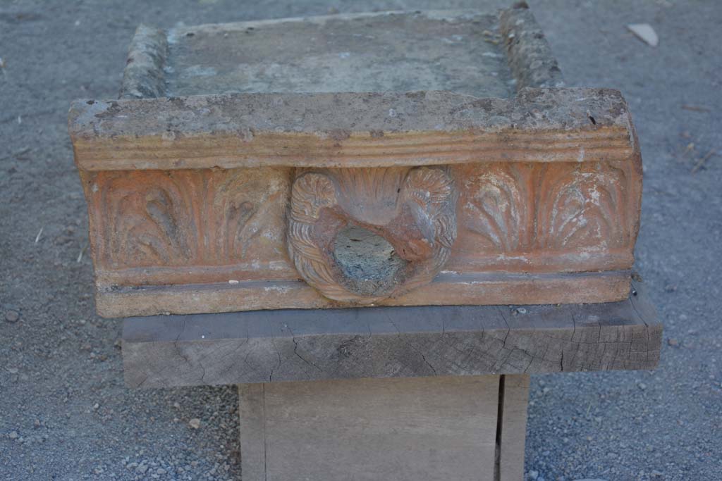 I.9.1 Pompeii. October 2019. Room 2, detail of terracotta grondaia or waterspout.
Foto Annette Haug, ERC Grant 681269 DÉCOR.